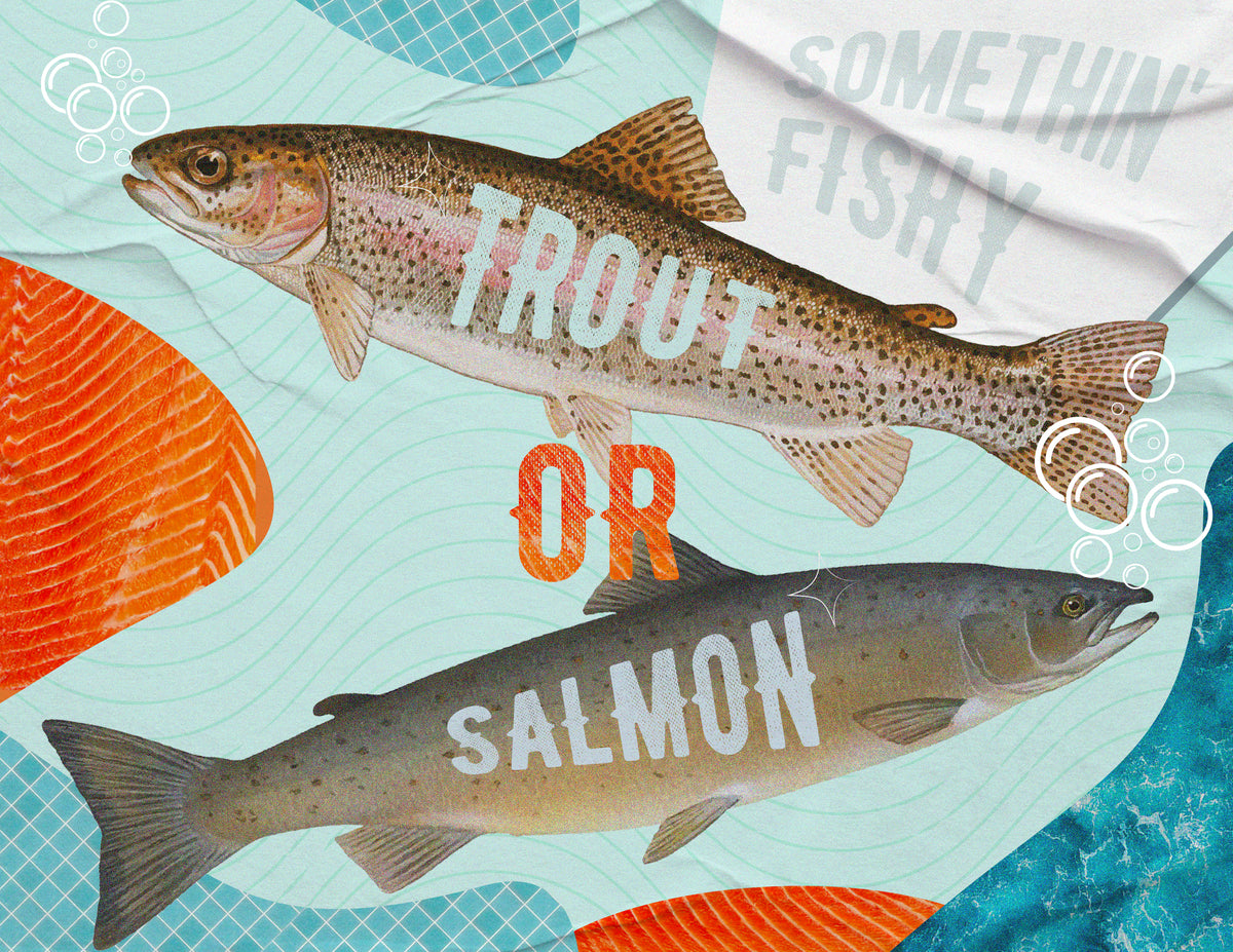 Trout vs Salmon. What are Their Similarities and Their Differences